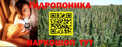 эйфоретик Кандалакша
