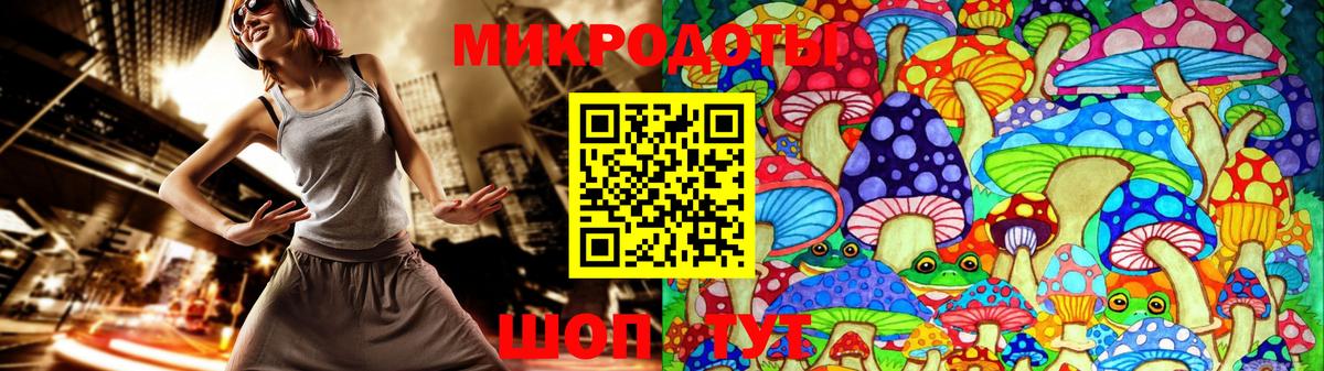 Псилоцибиновые грибы Psilocybine cubensis Куйбышев